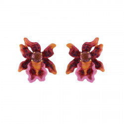Flore Mysterieuse