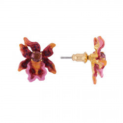 Flore Mysterieuse