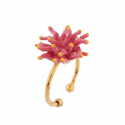 Flore Mysterieuse