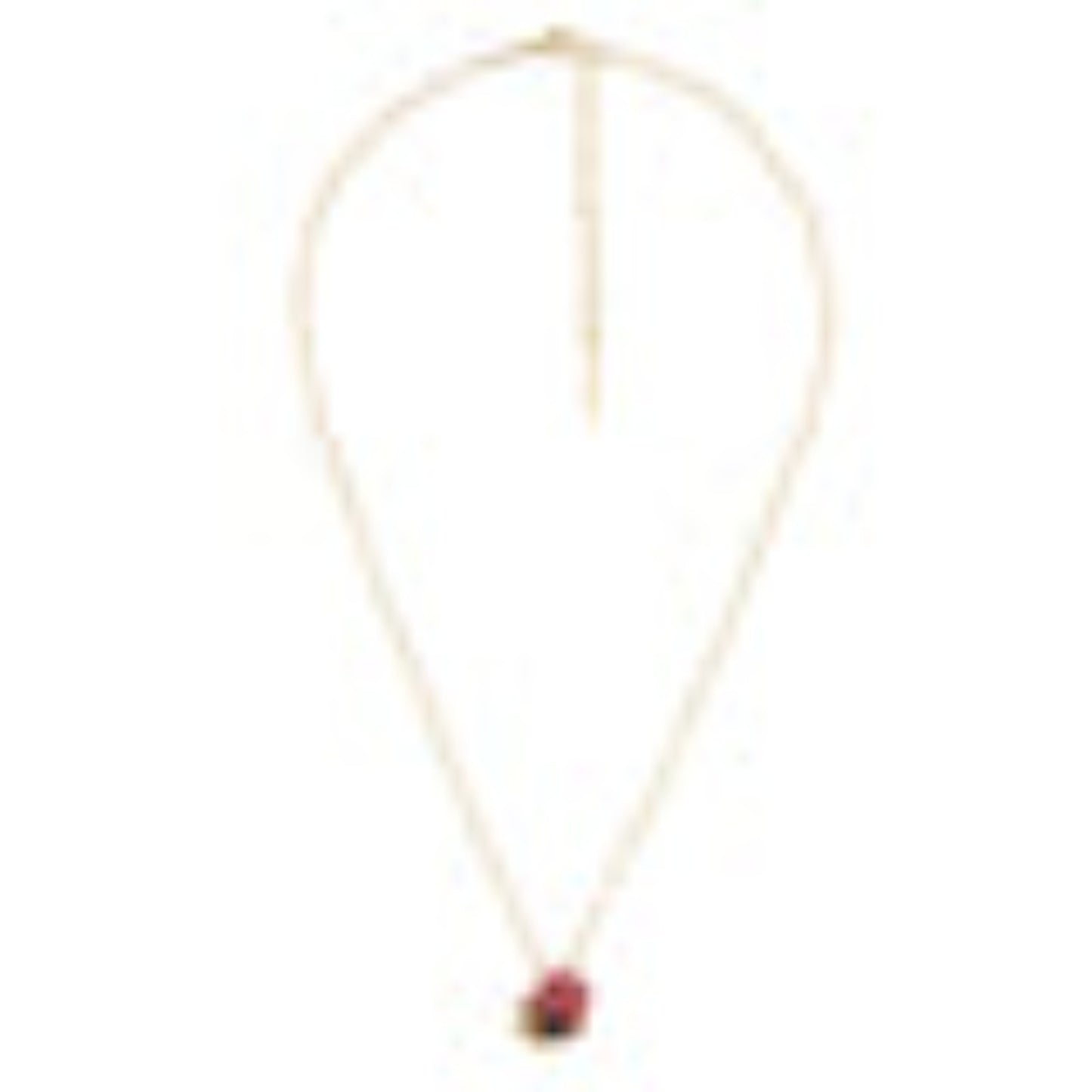 Eclatante Discretion Necklace