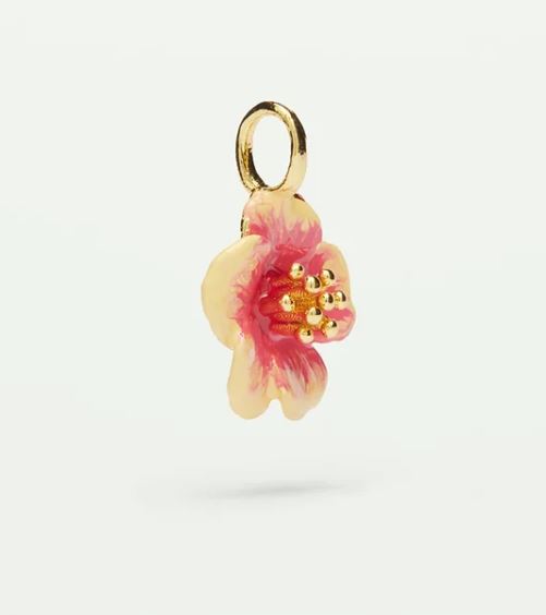Hibiscus charm