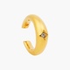 EAR MILLES ETOILES EARRINGS